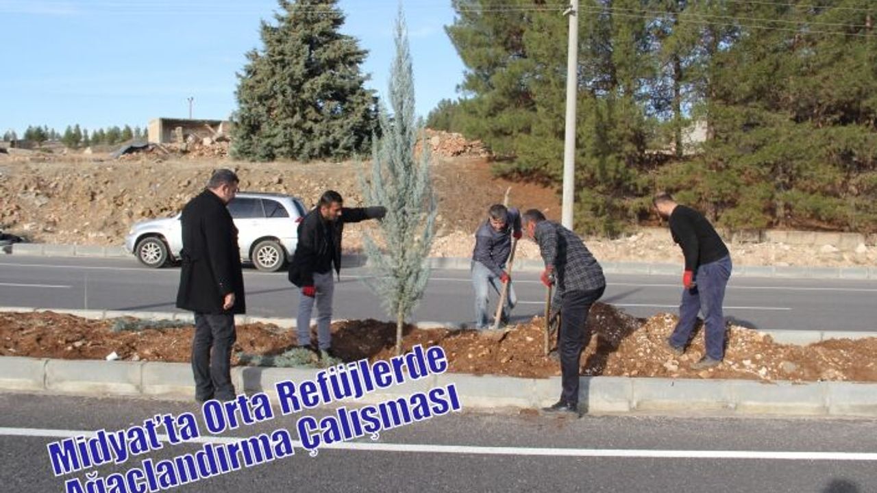Midyat’ta Orta Refüjlerde Ağaçlandırma Çalışması