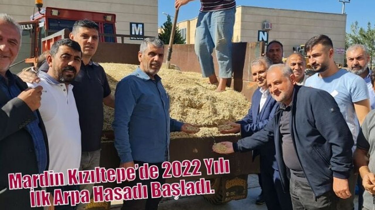 Mardin Kızıltepe’de 2022 Yılı İlk Arpa Hasadı Başladı.