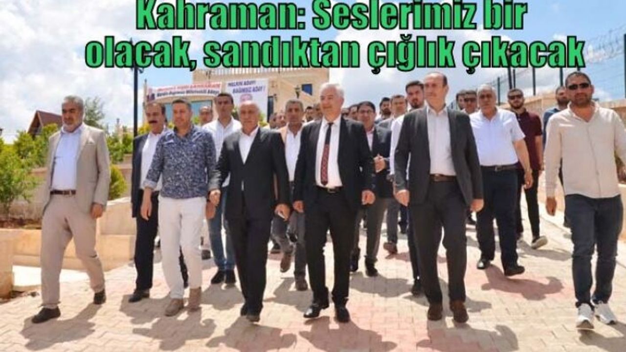 Kahraman: Seslerimiz bir olacak, sandıktan çığlık çıkacak