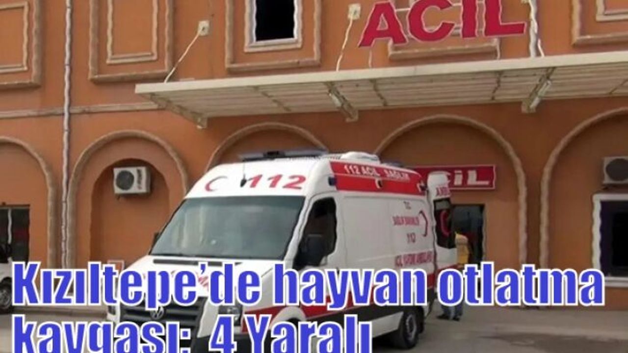 Kızıltepe’de hayvan otlatma kavgası:  4 Yaralı