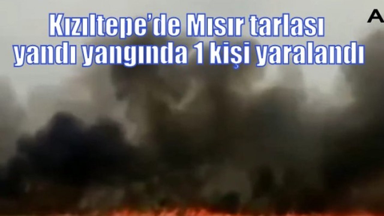Kızıltepe’de Mısır tarlası yandı yangında 1 kişi yaralandı