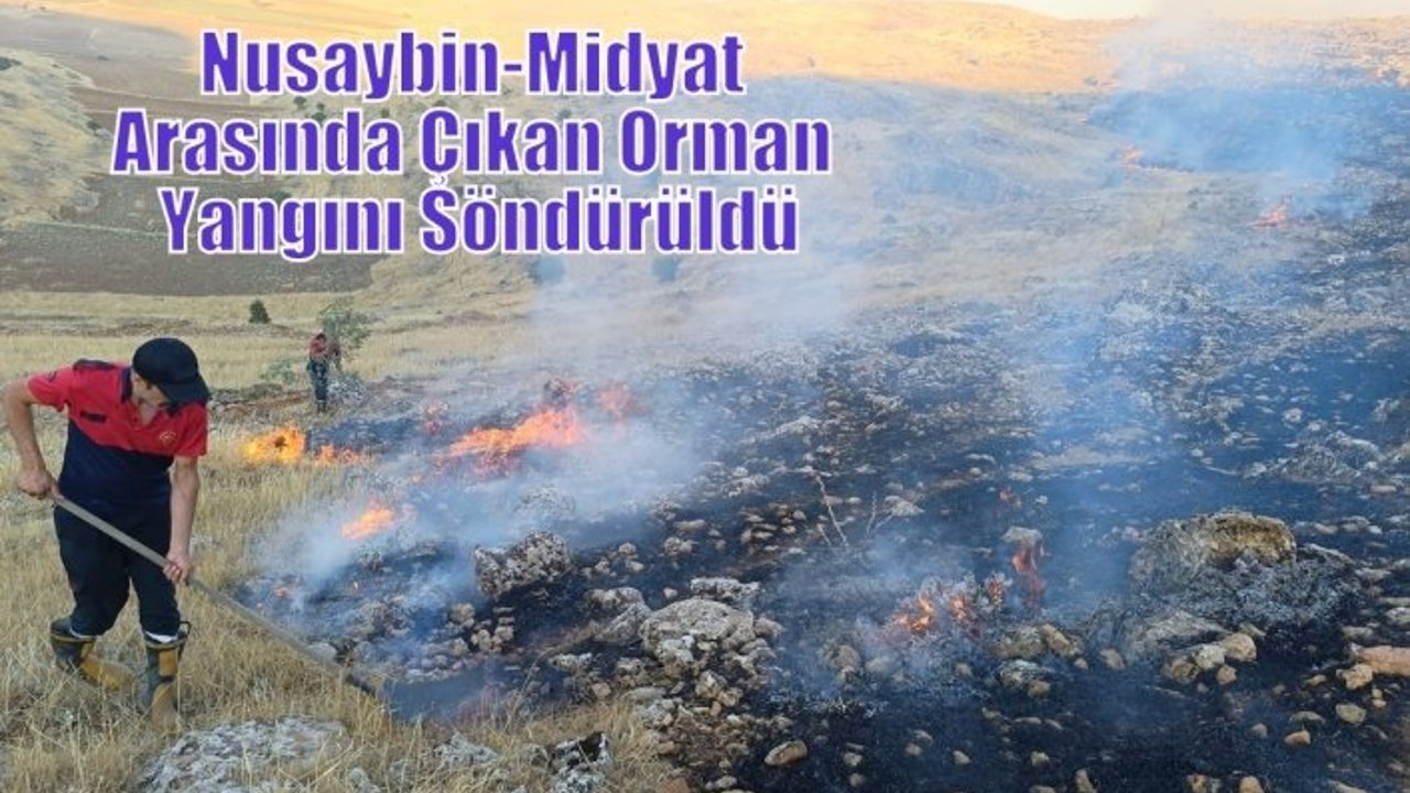 Nusaybin-Midyat Arasında Çıkan Orman Yangını Söndürüldü