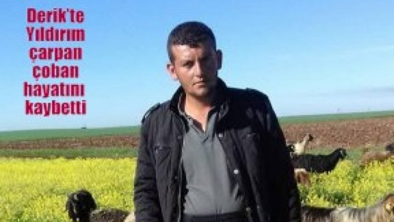 Derik’te Yıldırım çarpan çoban hayatını kaybetti