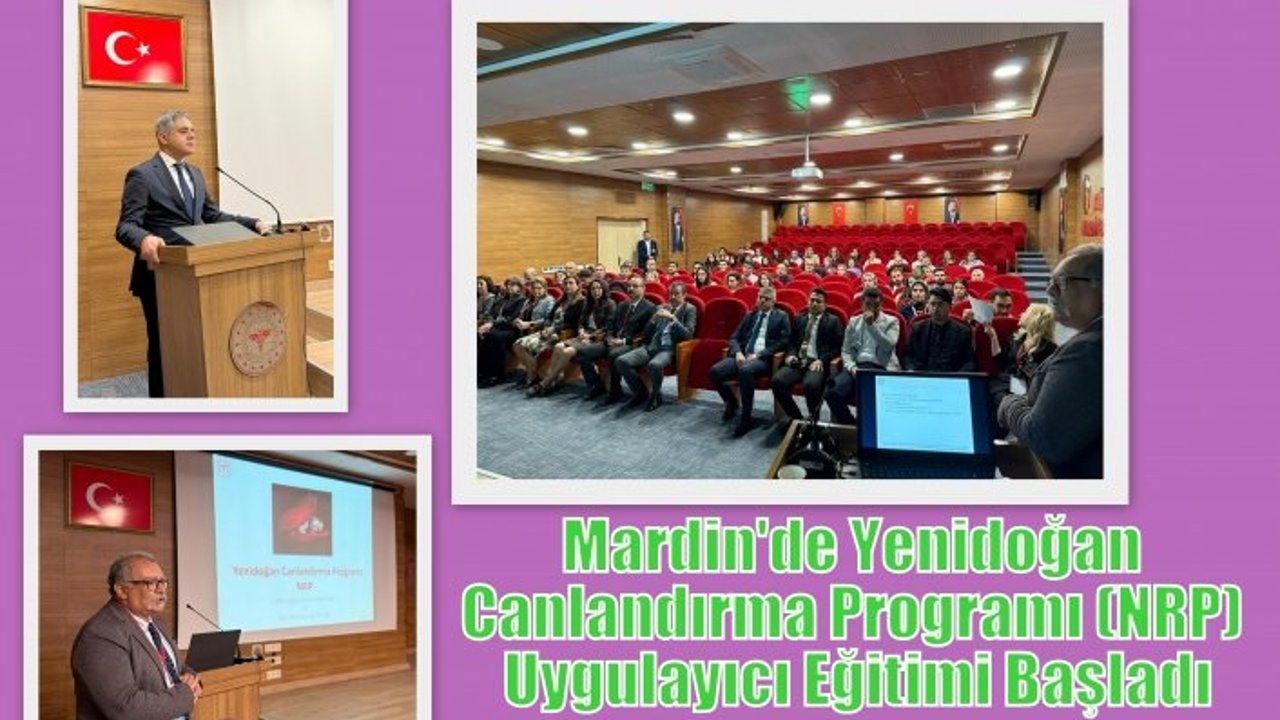 Mardin'de Yenidoğan Canlandırma Programı (NRP) Uygulayıcı Eğitimi Başladı