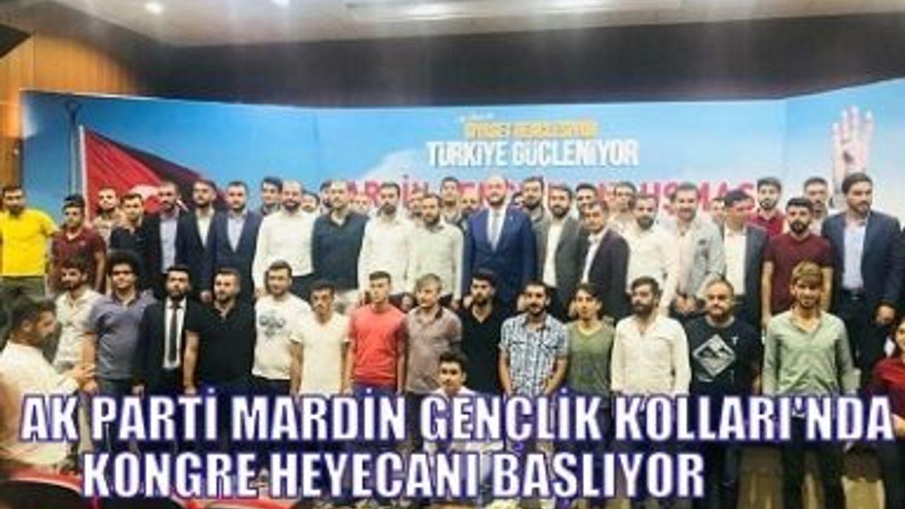 AK PARTİ MARDİN GENÇLİK KOLLARI'NDA KONGRE HEYECANI BAŞLIYOR