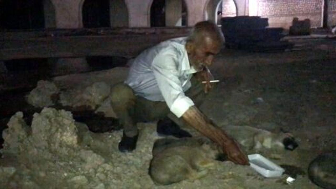 Derik'te 58 Yaşındaki Hayvansever Köpek yavrularına süt içirdi ve uyuttu