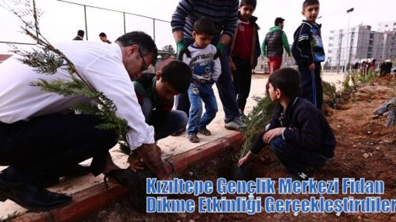 Kızıltepe Gençlik Merkezi Fidan Dikme Etkinliği Gerçekleştirdiler