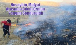 Nusaybin-Midyat Arasında Çıkan Orman Yangını Söndürüldü