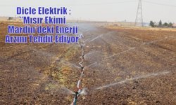Dicle Elektrik ;”Mısır Ekimi Mardin’deki Enerji Arzını Tehdit Ediyor”