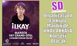 SD Organizasyon Farkıyla Mardin’de İlkay Akkaya Konseri Olacak
