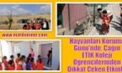 Hayvanları Koruma Günü'nde, Çağın ETİK Koleji Öğrencilerinden Dikkat Çeken Etkinlik 