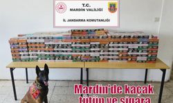 Mardin'de kaçak tütün ve sigara ticareti operasyonu
