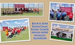 Derik'te Şehit Uzman Çavuş Serdar Temelli anısına futbol turnuvası düzenlendi