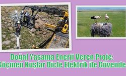 Doğal Yaşama Enerji Veren Proje: Göçmen Kuşlar Dicle Elektrik ile Güvende