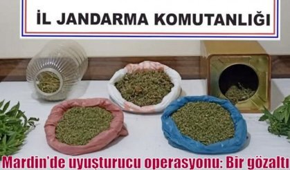 Mardin’de uyuşturucu operasyonu: Bir gözaltı
