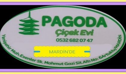 Pagoda Çüçekçilik Mardin'de Hizmetinizde