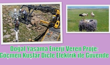 Doğal Yaşama Enerji Veren Proje: Göçmen Kuşlar Dicle Elektrik ile Güvende