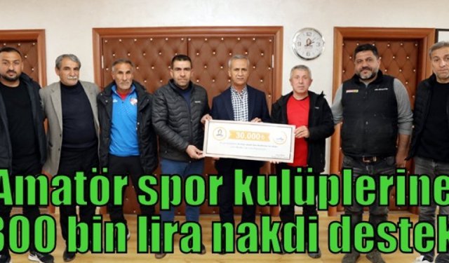 Amatör spor kulüplerine 300 bin lira nakdi destek!