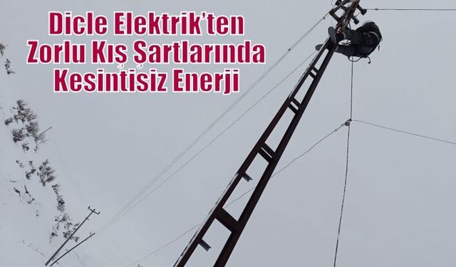 Dicle Elektrik’ten Zorlu Kış Şartlarında Kesintisiz Enerji