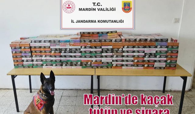 Mardin'de kaçak tütün ve sigara ticareti operasyonu