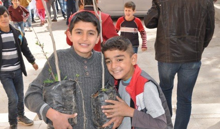 Kızıltepe Anafartalar Okulunda Fidan Dikimi Yapıldı