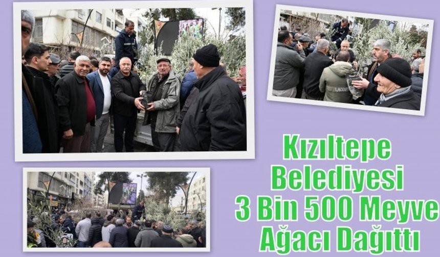 Kızıltepe Belediyesi 3 Bin 500 Meyve Ağacı Dağıttı