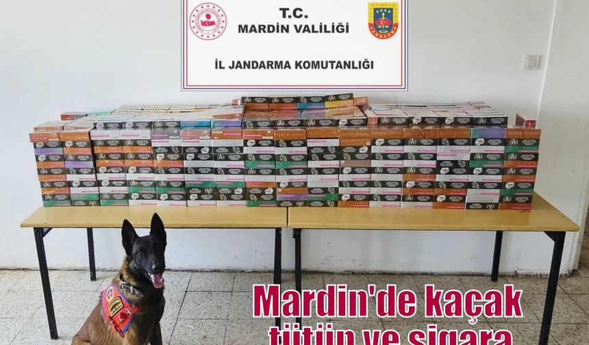 Mardin'de kaçak tütün ve sigara ticareti operasyonu