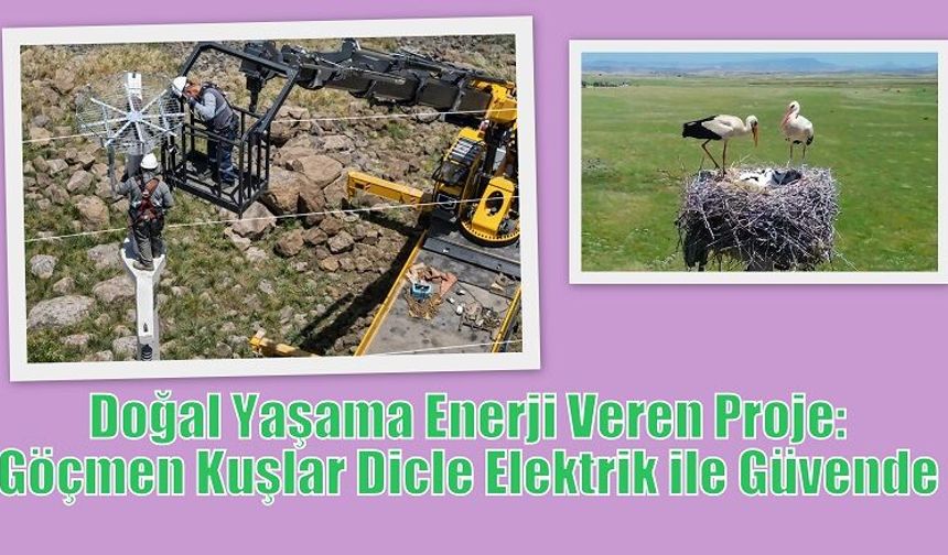 Doğal Yaşama Enerji Veren Proje: Göçmen Kuşlar Dicle Elektrik ile Güvende