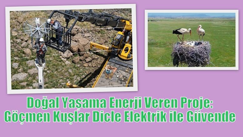 Doğal Yaşama Enerji Veren Proje: Göçmen Kuşlar Dicle Elektrik ile Güvende
